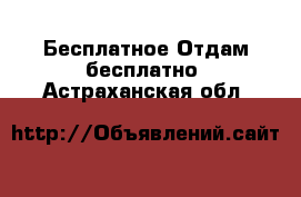 Бесплатное Отдам бесплатно. Астраханская обл.